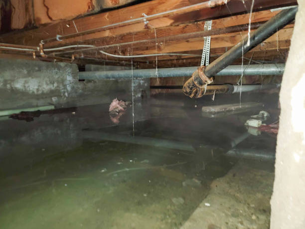 Best Water damage restoration near me  in Shoreacres, TX