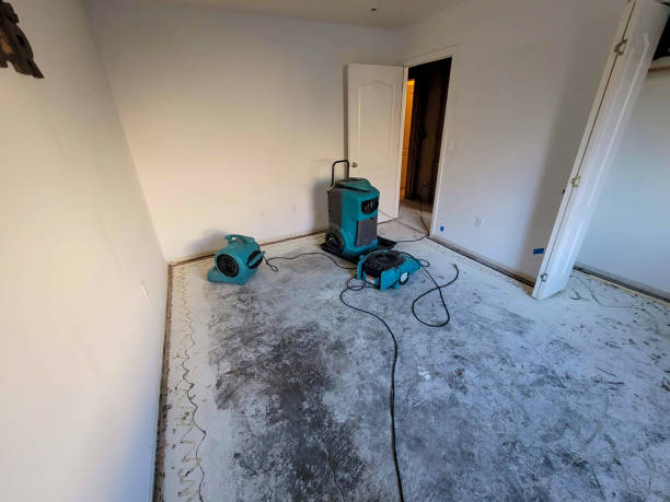  Shoreacres, TX Water damage restoration Pros