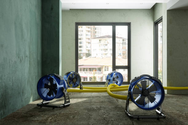Trusted Shoreacres, TX Water damage restoration Experts